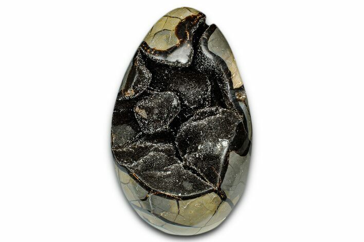 Polished Dragon Egg Septarian Geode - Free-Standing #339341